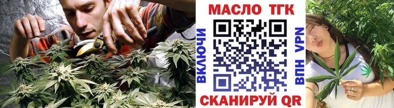 дарнет шоп  ссылка на мегу ссылки  Дистиллят ТГК Wax  Эртиль 